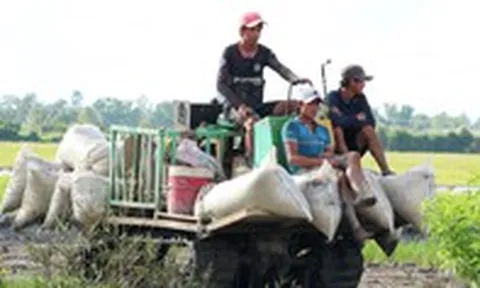 Trồng lúa thời công nghệ