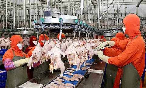 Giải bài toán khó để phát triển