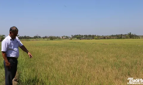 Sẵn sàng phương án ứng phó trong mọi tình huống thiên tai