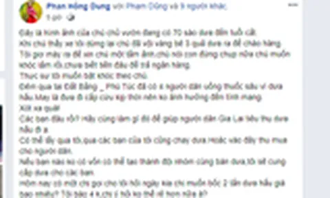 Vụ bịa đặt thông tin 4 người dân tự tử vì dưa hấu: Phạt người tung tin 12,5 triệu đồng