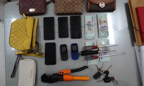 Bắt nhóm đối tượng dùng xe ô tô đi trộm cắp liên tỉnh