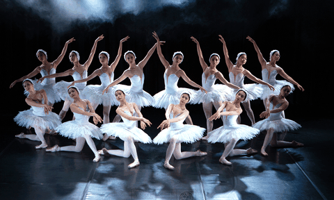 Dừng lưu diễn xuyên Việt vở ballet Hồ Thiên Nga