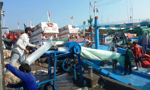 Vươn khơi giữa mùa dịch