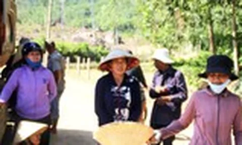 Dân “tố” doanh nghiệp được bao che làm càn ở thủy Bầu Châu