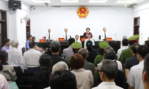 Tuyên luật sư Trần Vũ Hải 12 tháng không giam giữ về tội trốn thuế