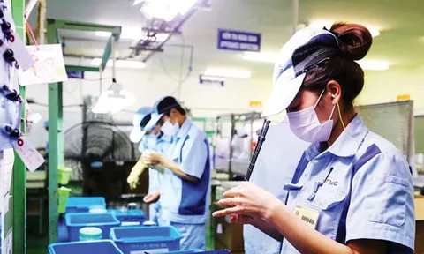 Nhiều tín hiệu tích cực trong doanh nghiệp FDI