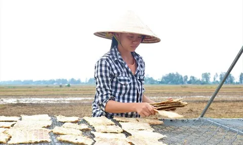 Độc đáo khô cá sấu ở An Giang
