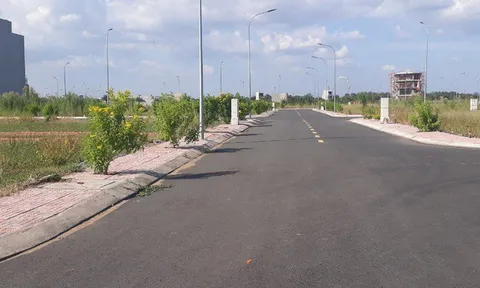 Bất động sản 2020: Đất nền vẫn là “vua”