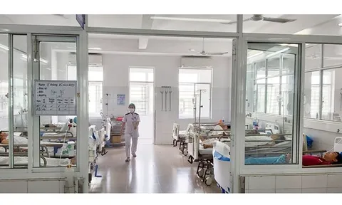 Hơn 130 người tại Đà Nẵng nghi ngộ độc thực phẩm sau khi ăn chay