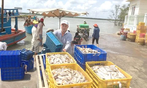 Nhanh chóng khai thác cơ hội từ EVFTA