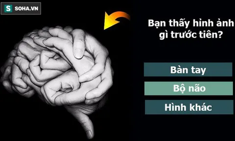 Nhận ra bộ não hay bàn tay trước tiên?