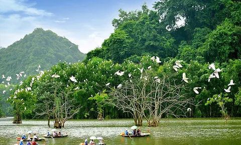 Ngành Du lịch lên kế hoạch đón khách quốc tế: Lấy lại sức bật