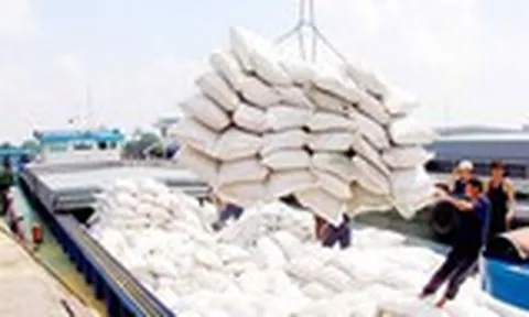 Xuất khẩu gạo trở lại bình thường