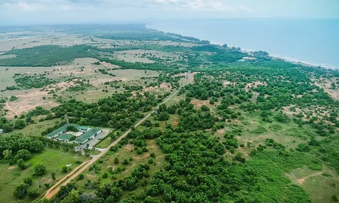 Bà Rịa - Vũng Tàu ban hành quy định siết chặt tình trạng "loạn" phân lô, tách thửa