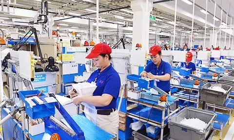 Lao động đã qua đào tạo có chứng chỉ mới đạt 24,5%