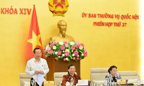 Sửa luật để tiếp lửa cho các phong trào thanh niên