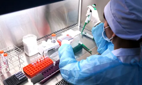 Việt Nam nuôi cấy và phân lập thành công chủng mới của virus Corona