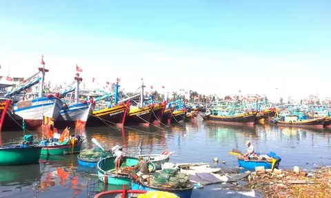 Tàu cá nằm bờ vì thiếu hụt lao động