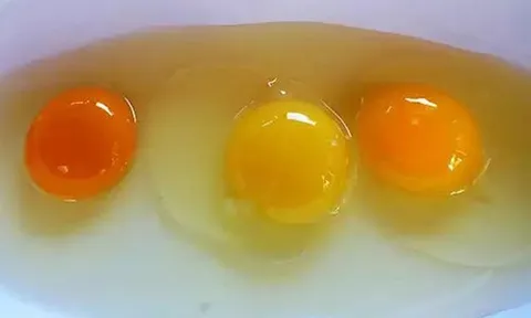 Xử phạt nhân viên y tế vì đăng tin uống trứng gà chống dịch Covid-19