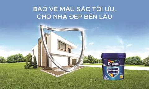 Thủ phạm làm cho tường nhà bị phai màu và xuống cấp nhanh chóng