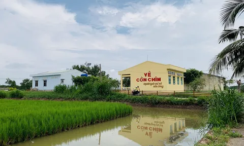 ĐBSCL chuyển hướng: Khi nông dân trúng lớn nhờ... hạn mặn