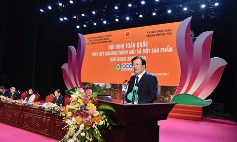 OCOP là một chương trình phát triển kinh tế nông thôn trọng tâm