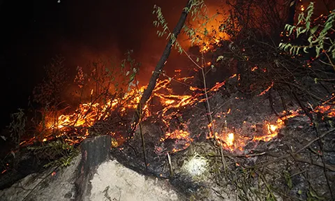 Chưa dùng trực thăng chữa cháy rừng ở Hà Tĩnh vì 'gió mạnh'