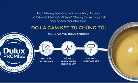 Ra mắt chương trình “DULUX PROMISE - CAM KẾT 3 CHUẨN” tại Việt Nam. 