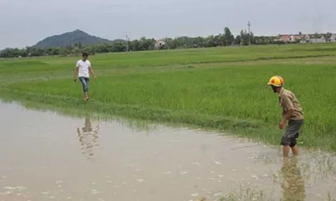 Hai em tiểu học chết đuối thương tâm sau lễ khai giảng