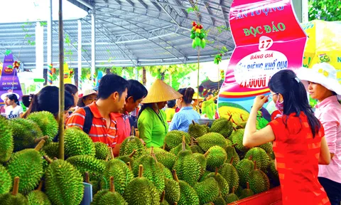 Nhiều hoạt động hấp dẫn tại Lễ hội Trái cây Nam Bộ 2019