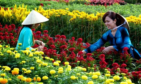 Nhộn nhịp không khí đón Xuân với các làng nghề huyện Chợ Lách tỉnh Bến Tre