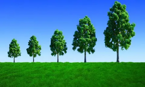 Khối ngoại trở lại mua ròng 470 tỷ đồng, tập trung "gom" HPG, VNM