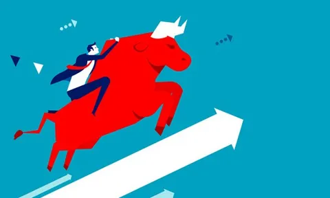 Tiền vào chứng khoán quá nhiều và rủi ro bất ổn hệ thống tài chính