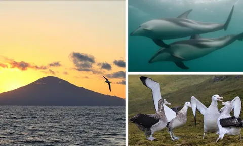 Khu bảo tồn biển lớn nhất Đại Tây Dương