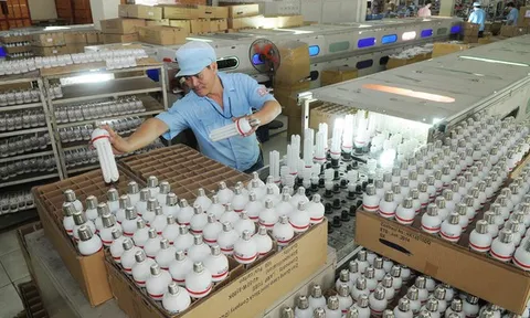 Nâng chuẩn hàng Việt