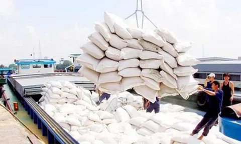 Belarus và Armenia nhập khẩu 10.000 tấn gạo của Việt Nam