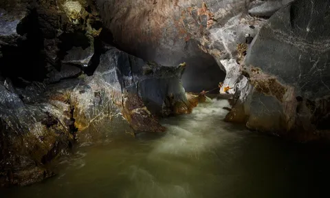 Tour thám hiểm Sơn Đoòng hút khách