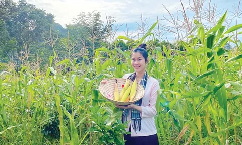 Hành trình nông sản Việt của hai cô gái trẻ