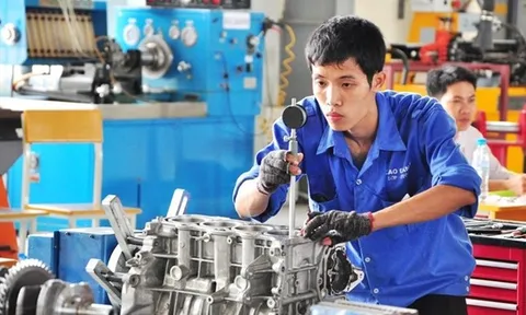 Thạc sĩ giấu bằng, đi học trường nghề kiếm việc