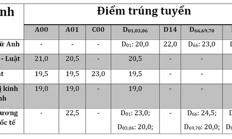 Trường ĐH đầu tiên tại TP HCM công bố điểm chuẩn, mức cao nhất là 24.5 điểm